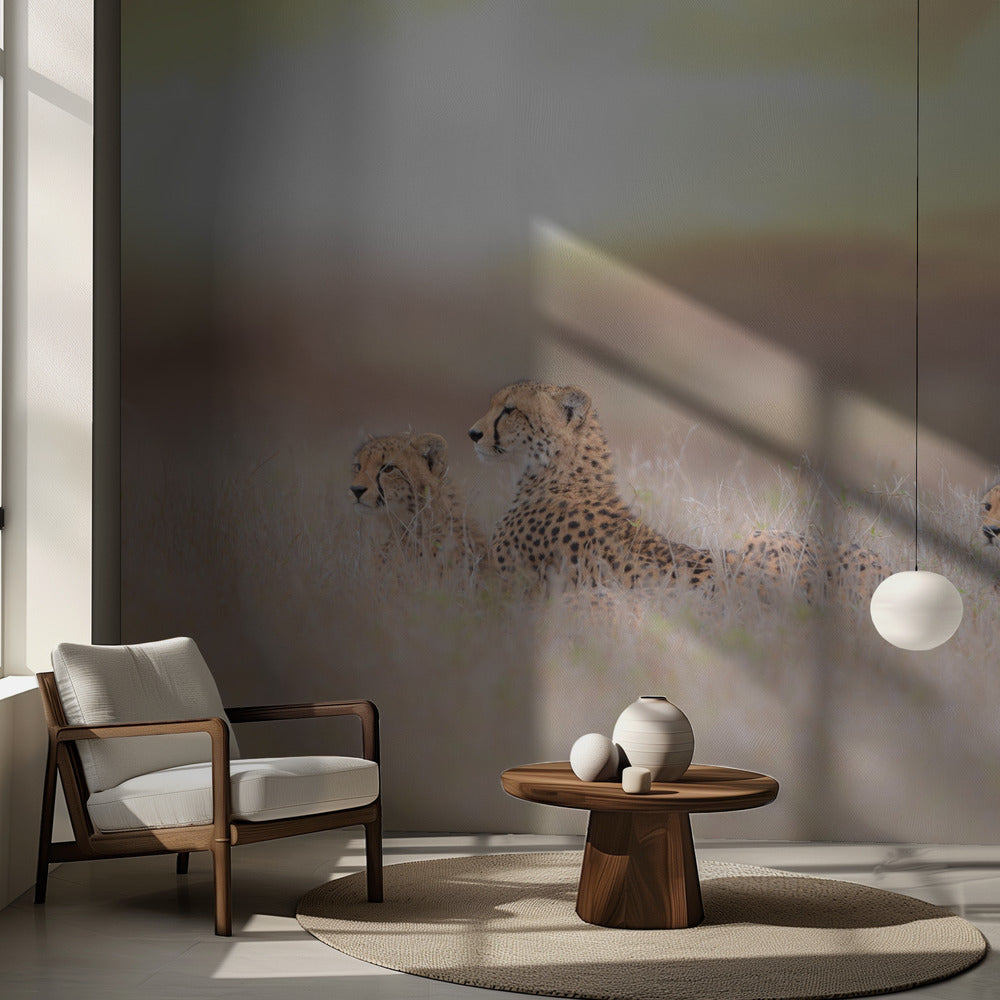 Gepardiperhe | Valokuvatapetit