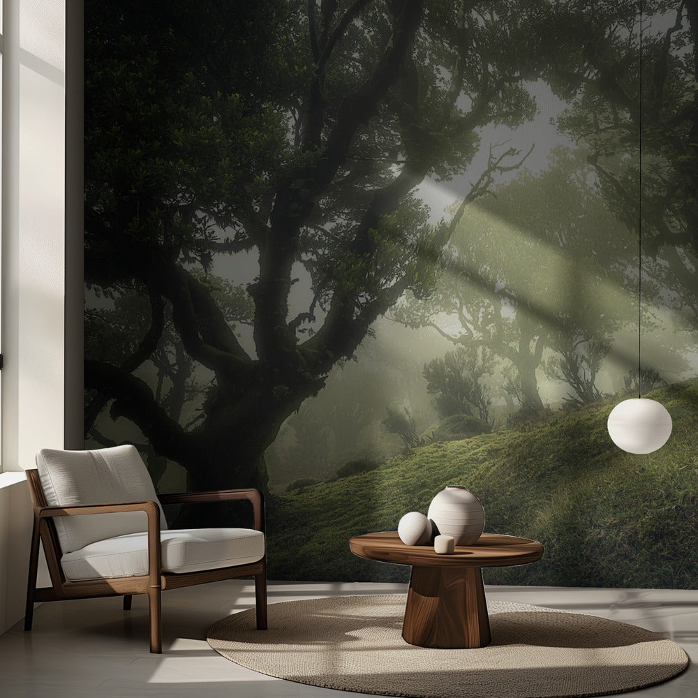 Lumottu metsä | Valokuvatapetit