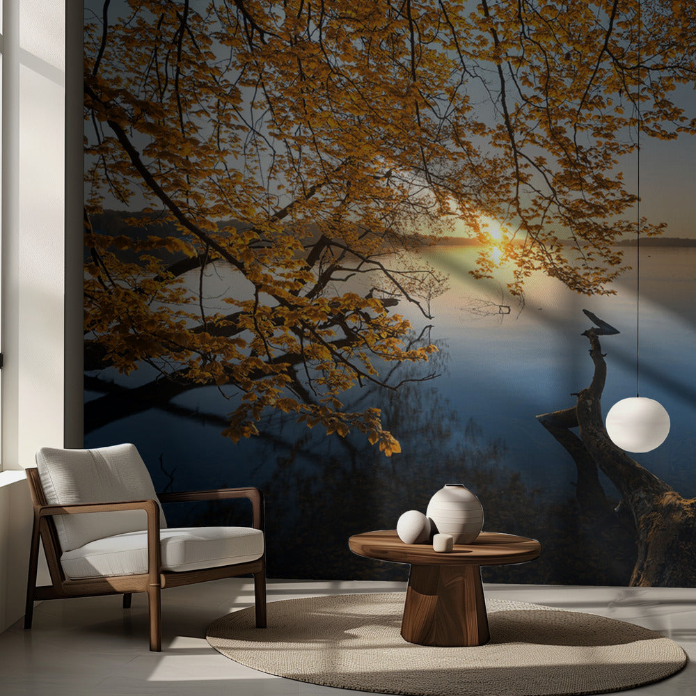 Syksyinen aamu | Valokuvatapetit