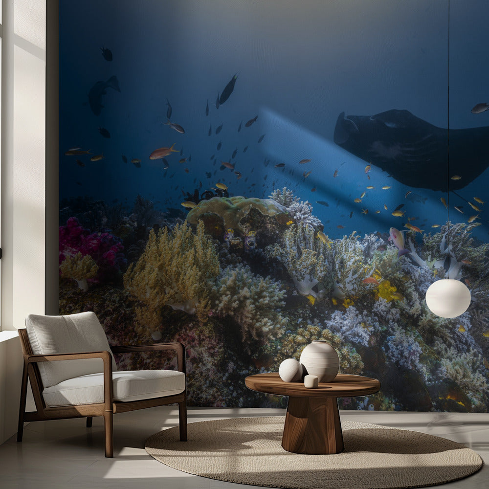 Manta-riutta riutalla | Valokuvatapetit