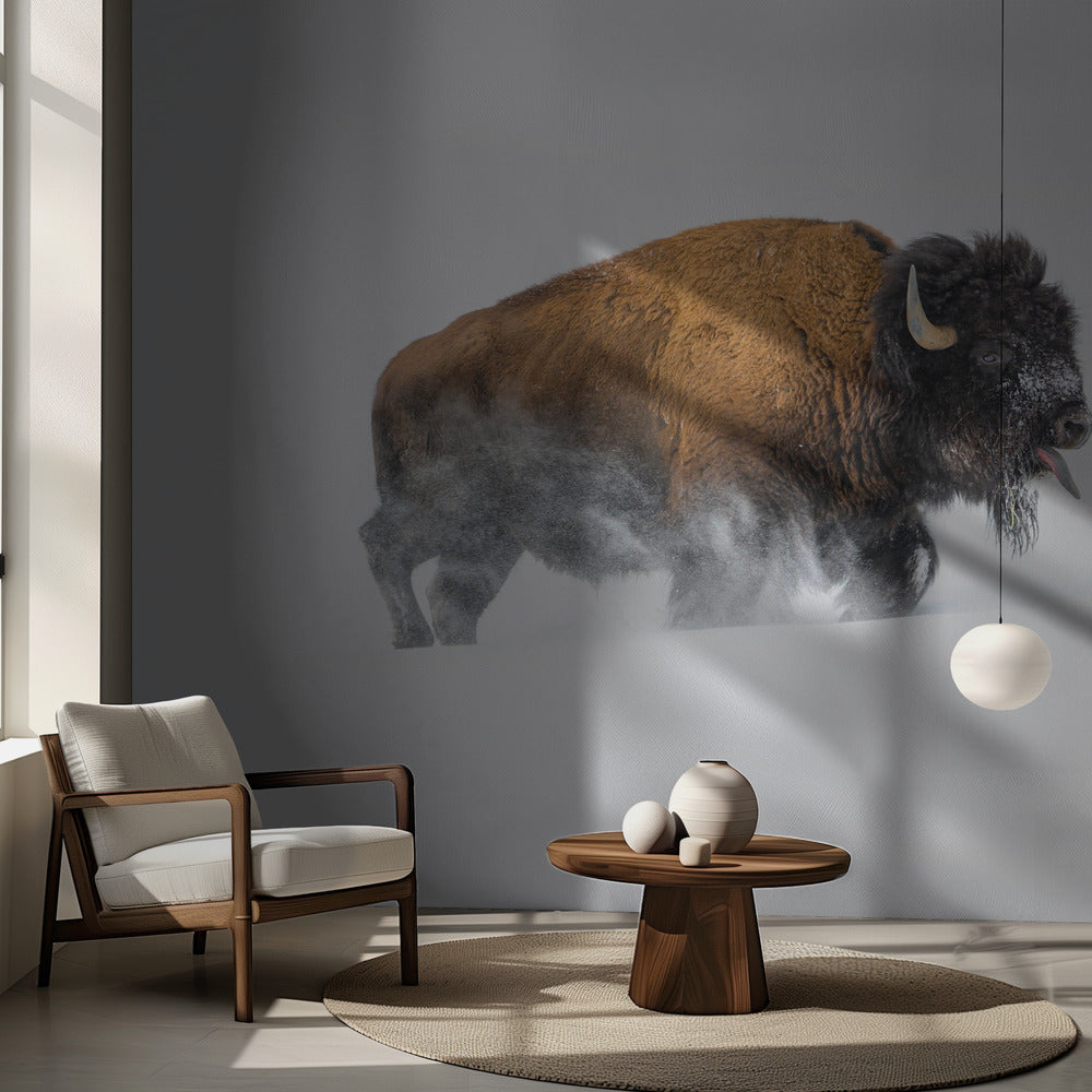 Bisonte en la nieve | Papel Pintado Fotográfico
