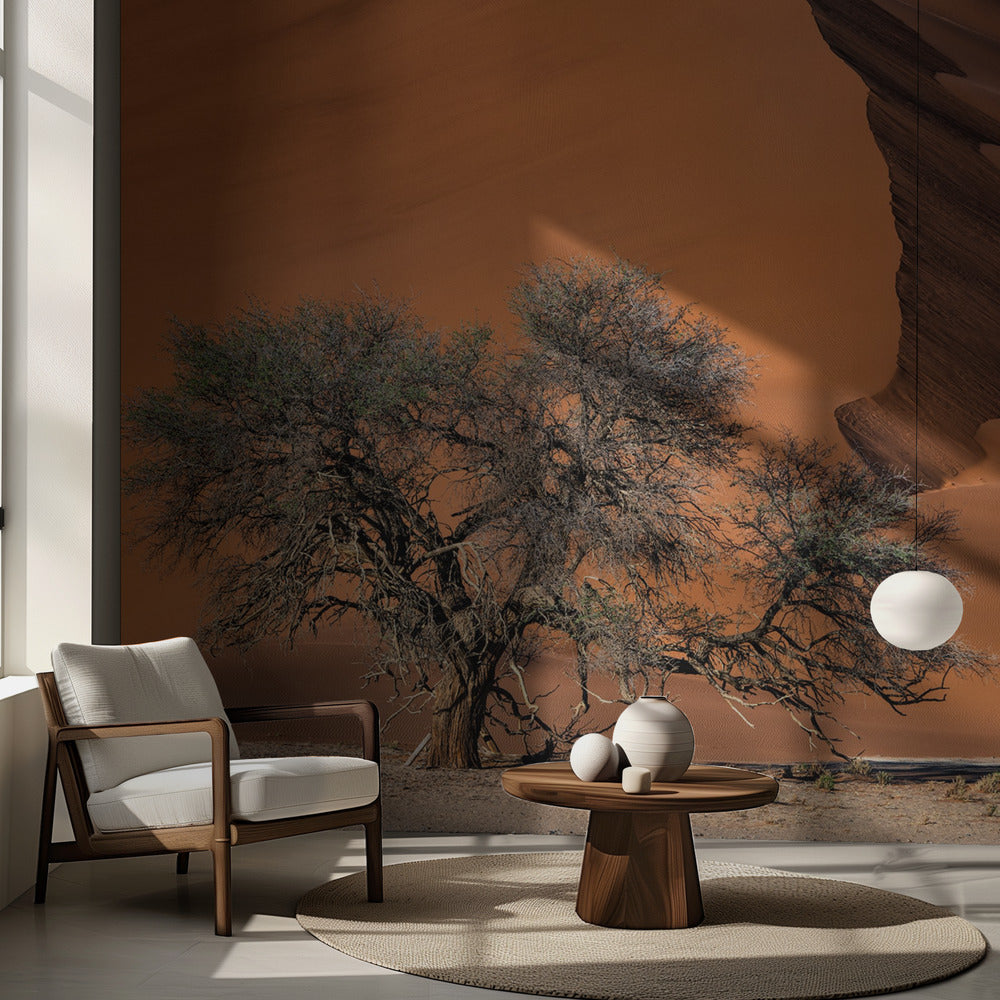 Akaasia aavikolla | Valokuvatapetit