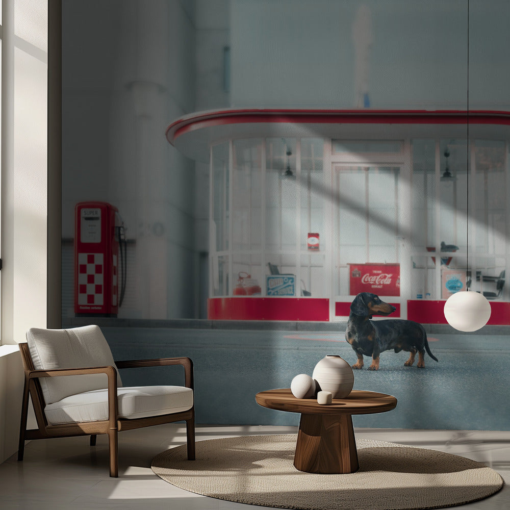 Huoltoaseman hoitaja | Valokuvatapetit