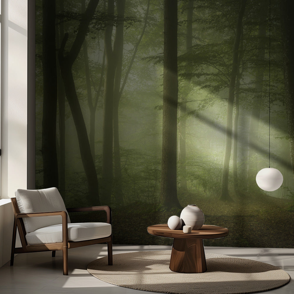 Salaperäinen kevätaamu | Valokuvatapetit