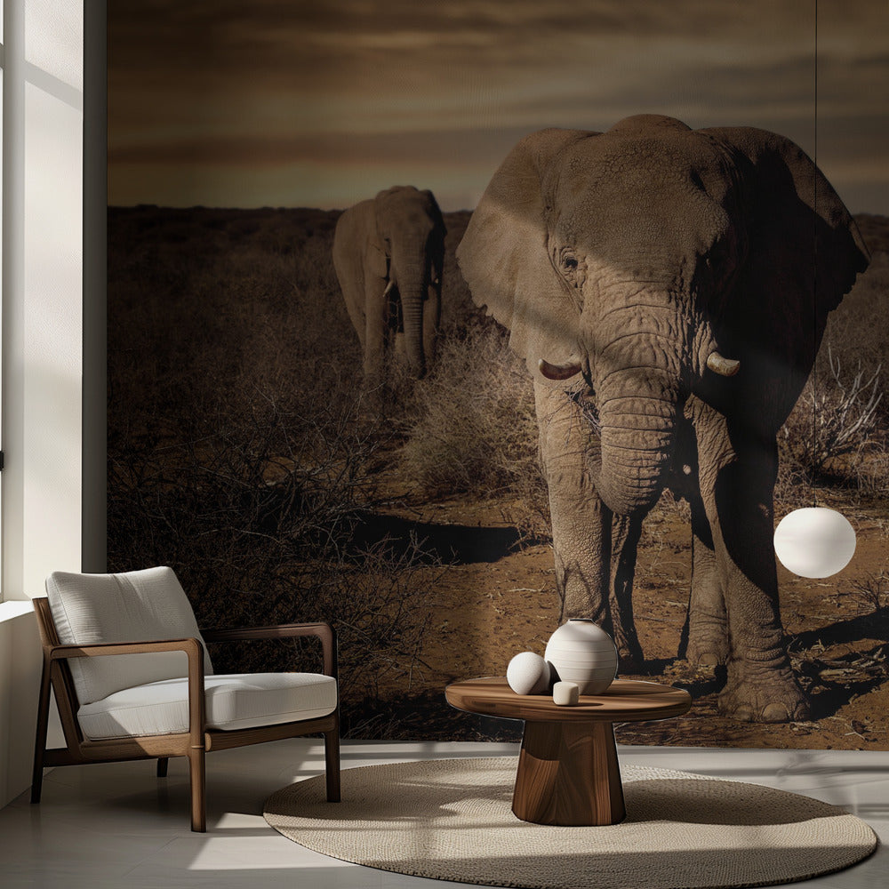 Iso | Valokuvatapetit