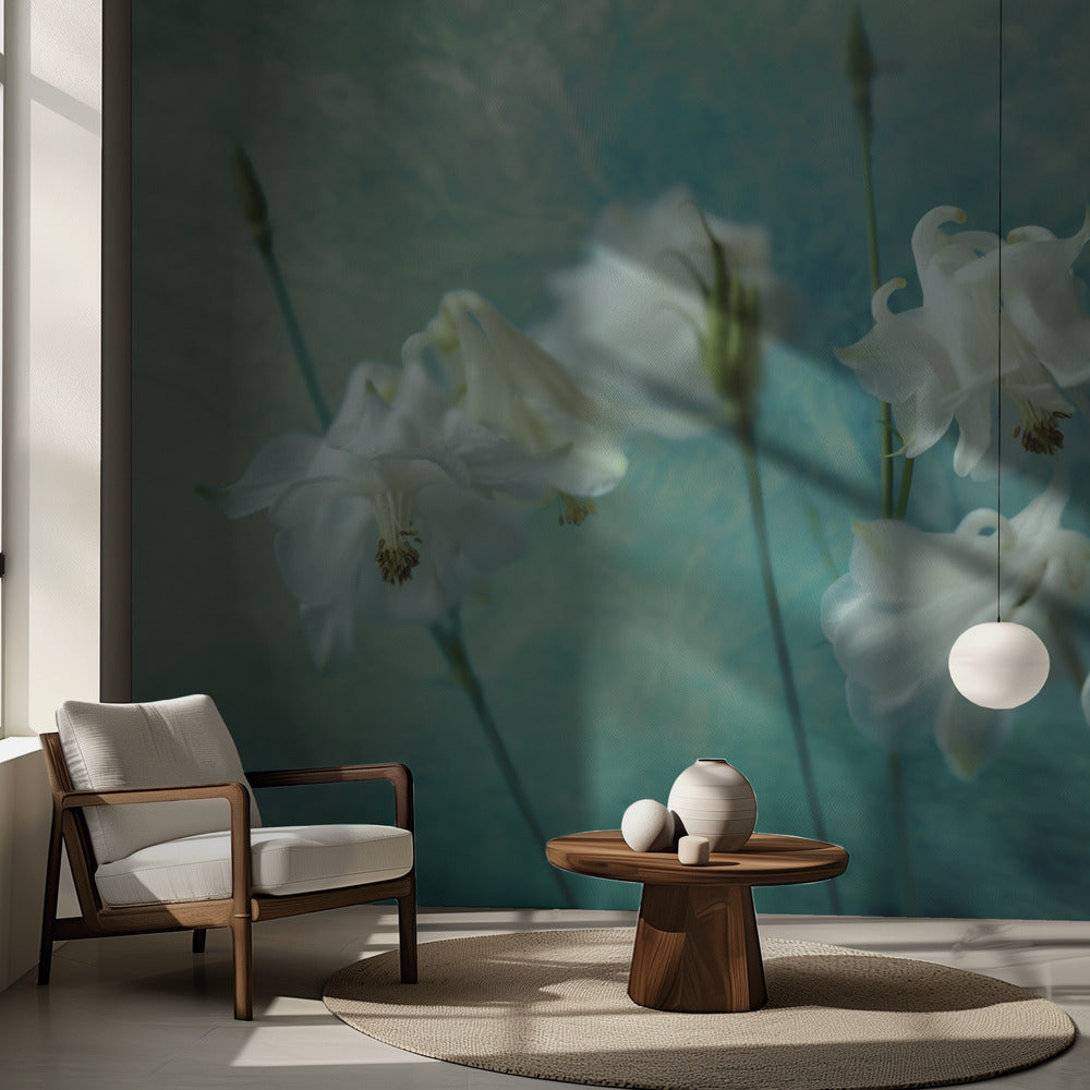 Orjantappurakruunut | Valokuvatapetit