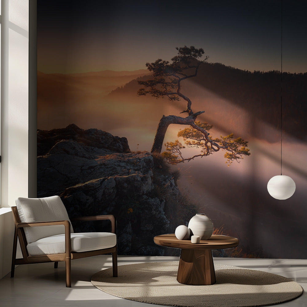 Sokolica | Valokuvatapetit