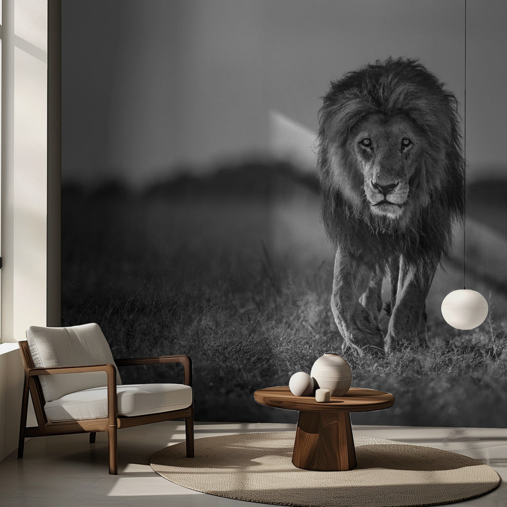 Vanha poika | Valokuvatapetit