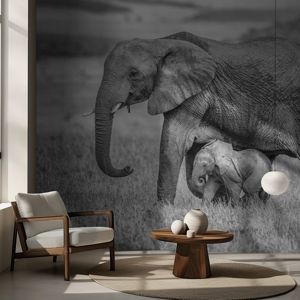 Lähellä ja suojassa pysyminen | Valokuvatapetit