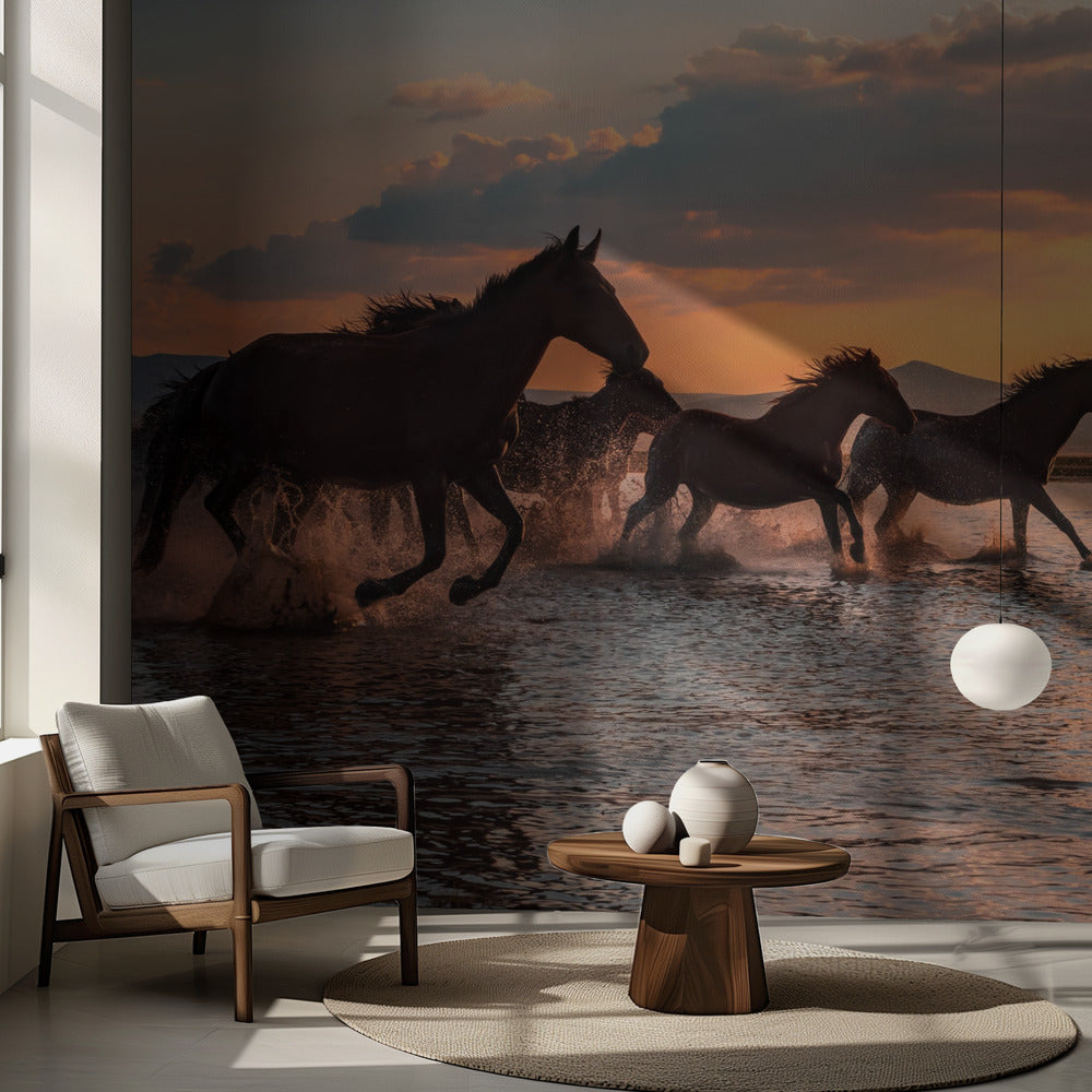 VESIHEVOSET | Valokuvatapetit