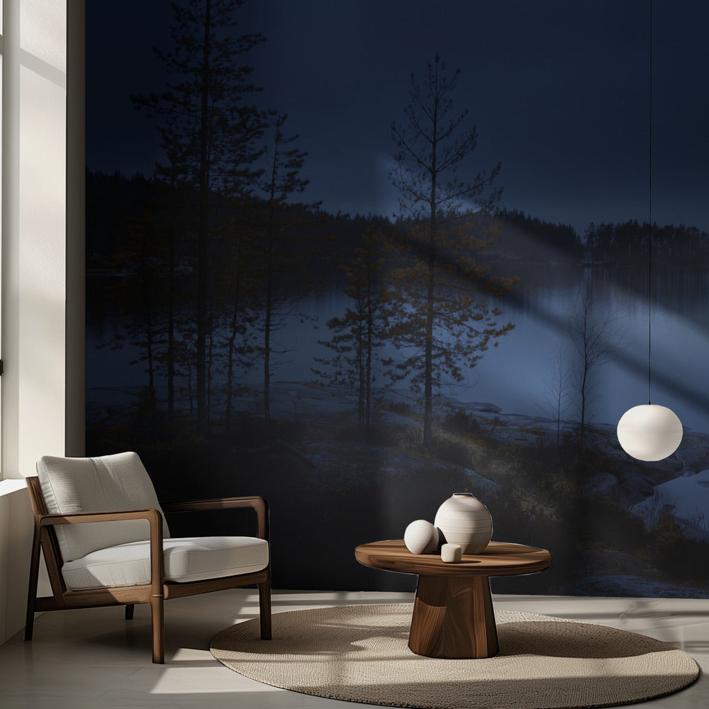 Yön usva | Valokuvatapetit