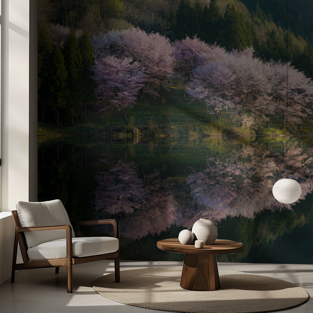 Sakura | Valokuvatapetit