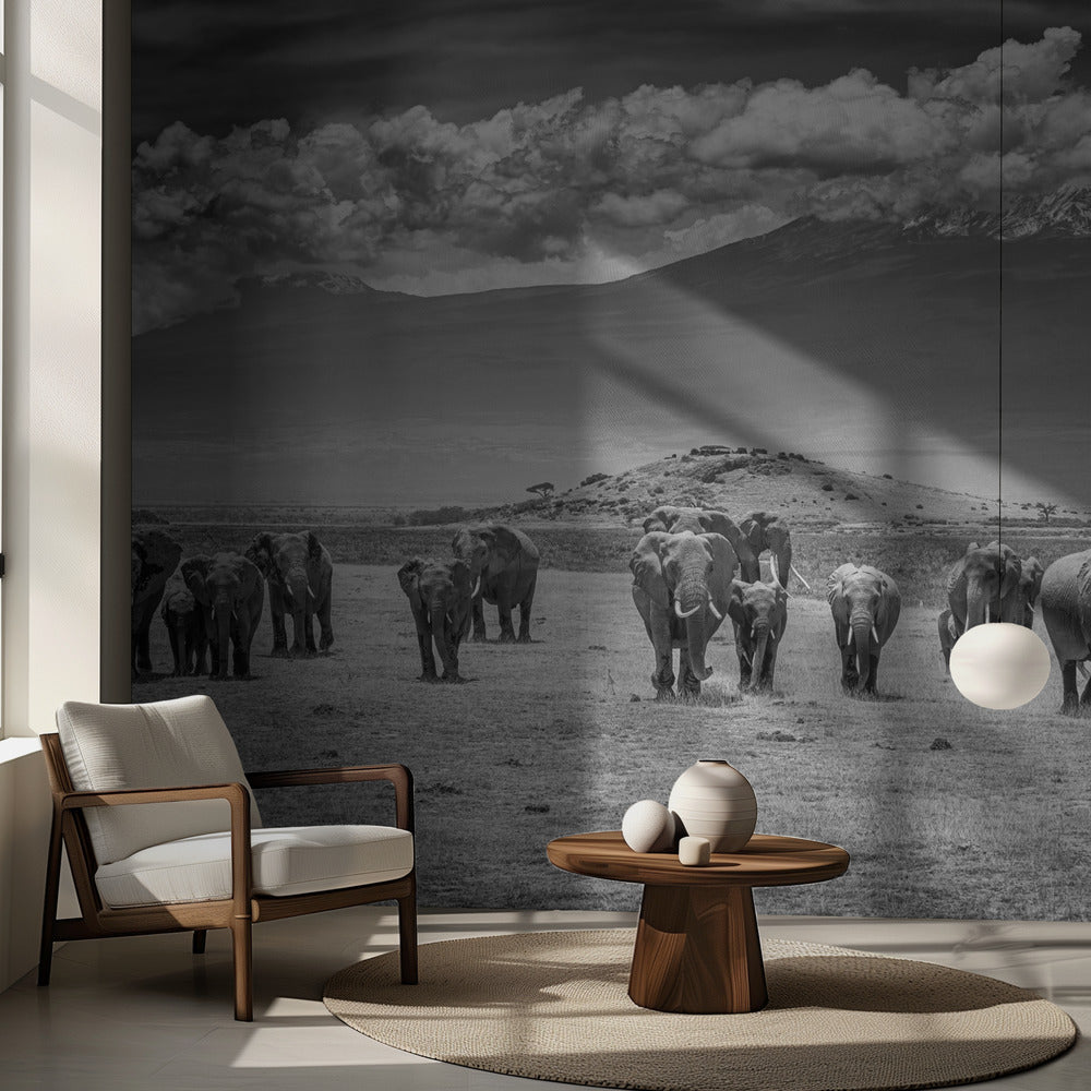 Titaanit | Valokuvatapetit