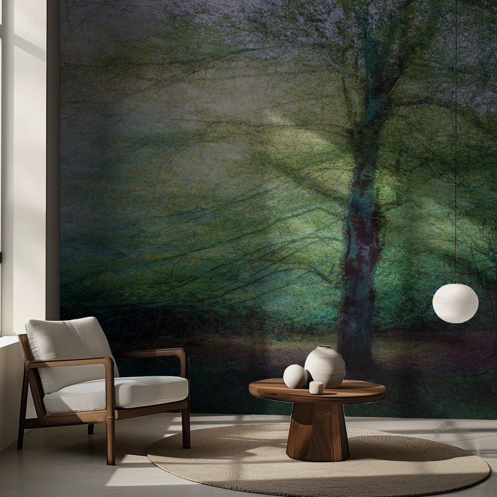 metsä | Valokuvatapetit