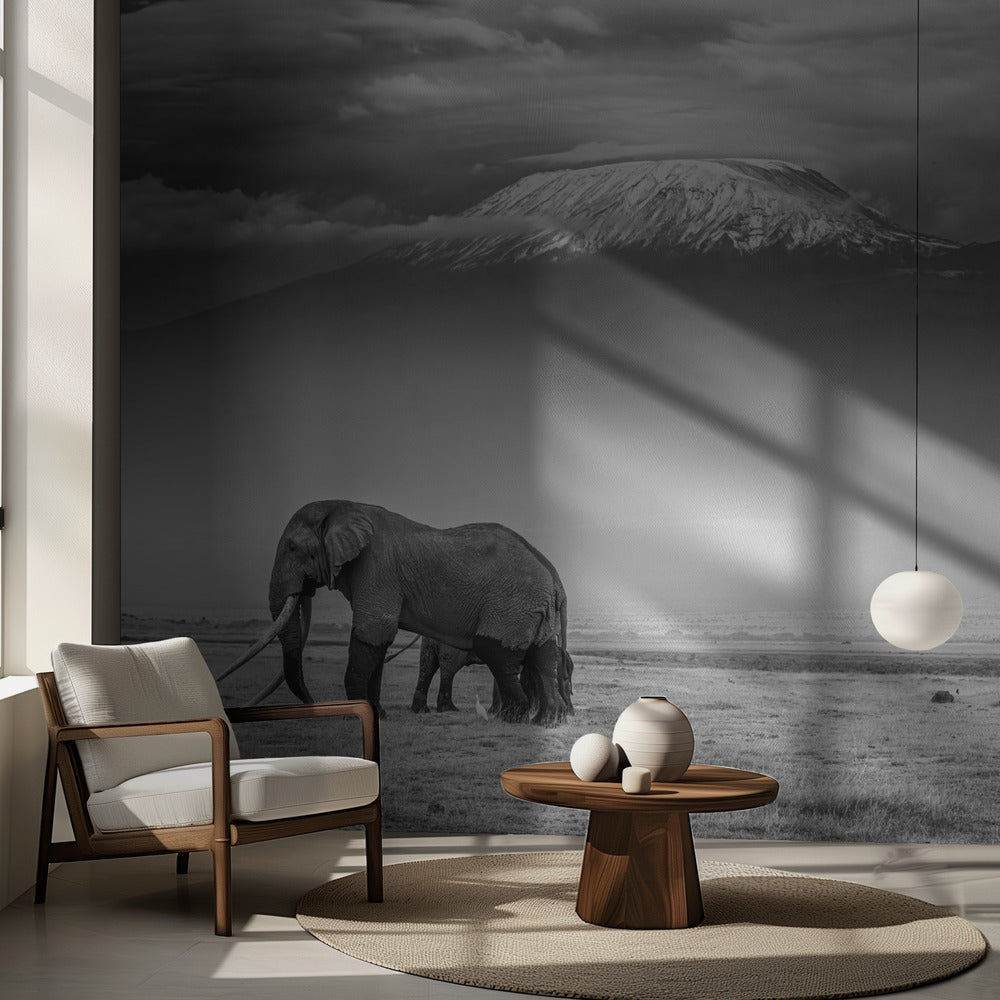 Jättiläisten maa | Valokuvatapetit