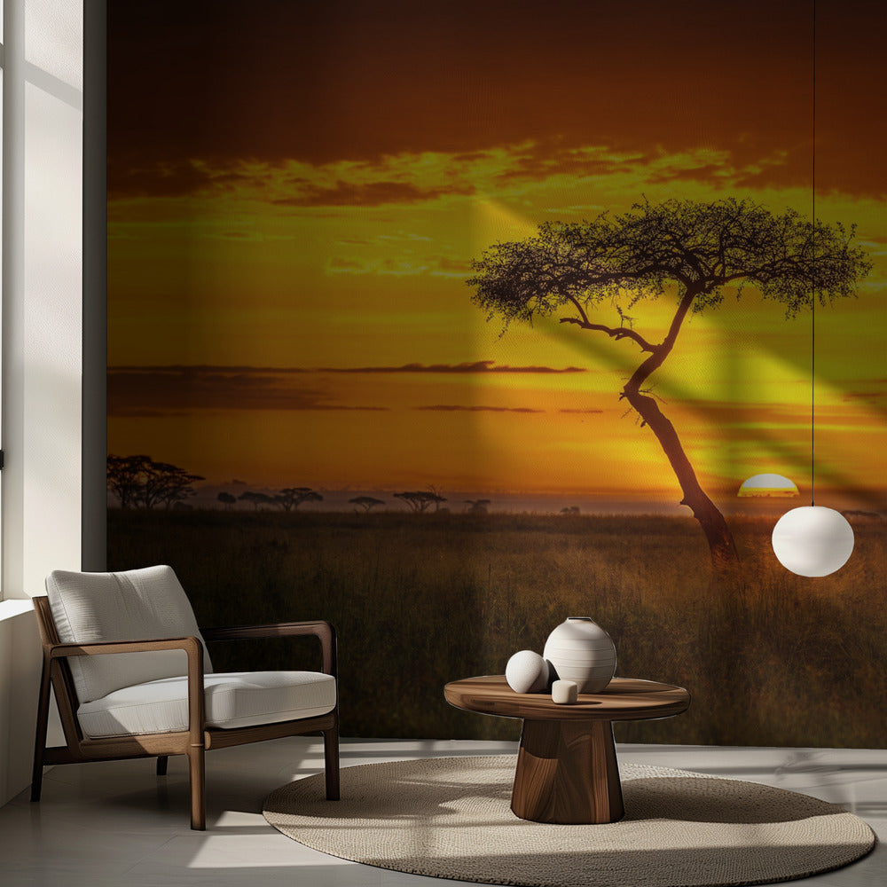 Alkukantainen Afrikka | Valokuvatapetit