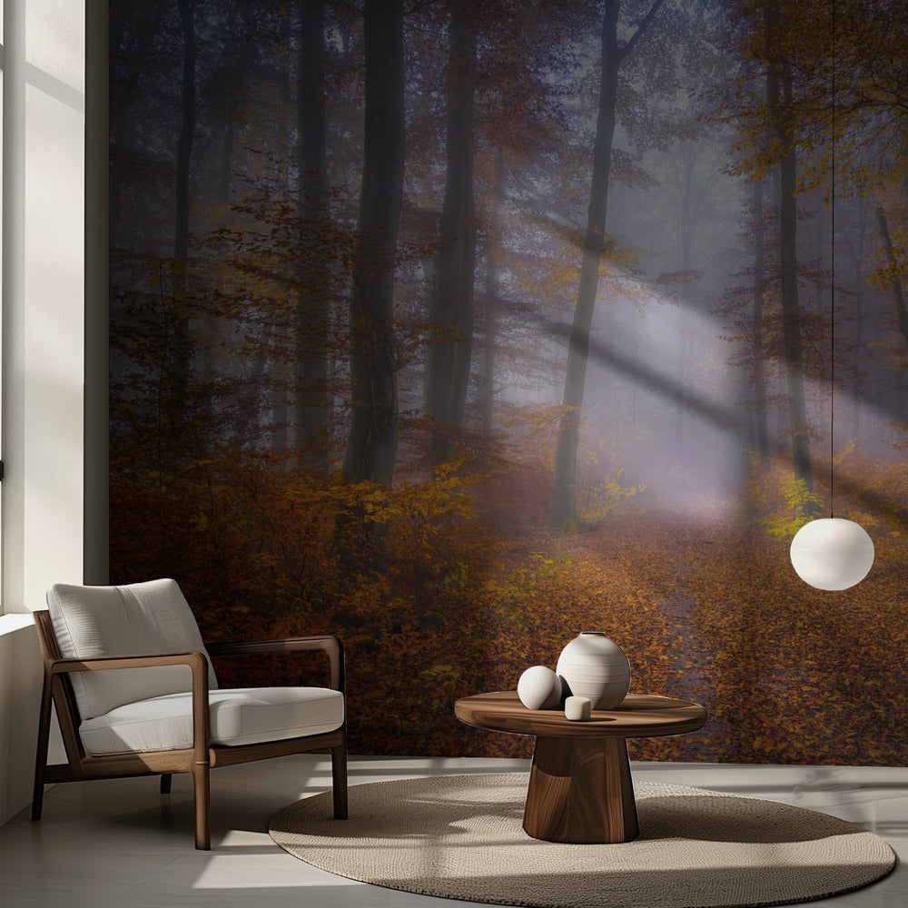 Lokakuun polku | Valokuvatapetit