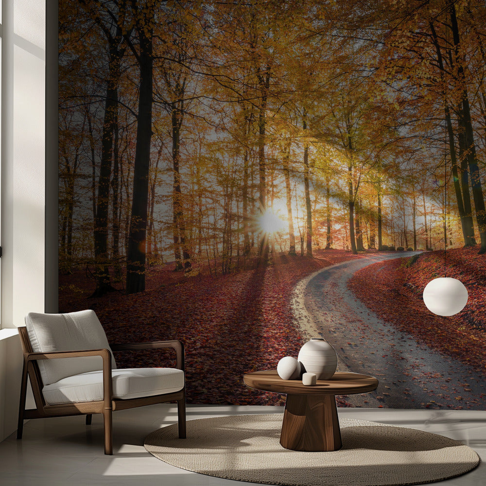 Tie Söderåsenin kansallispuistossa, Ruotsissa | Valokuvatapetit