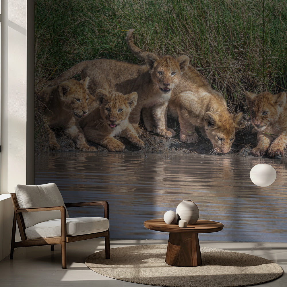 Bändin kokoaminen uudelleen... | Valokuvatapetit