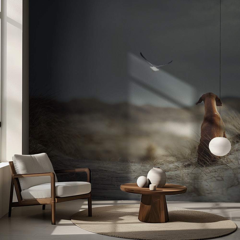 VAPAUDEN (II) | Valokuvatapetit