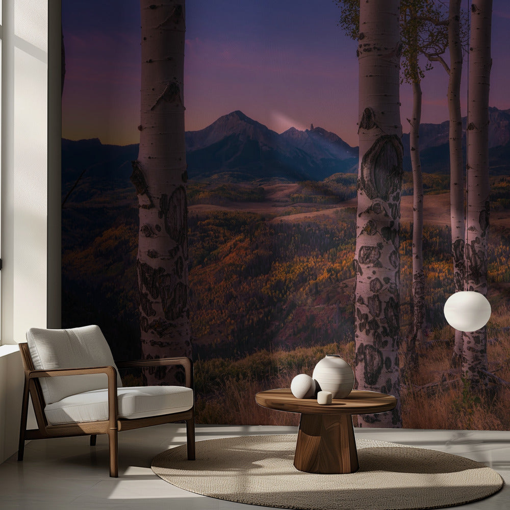Aspen Frames | Wallpaper