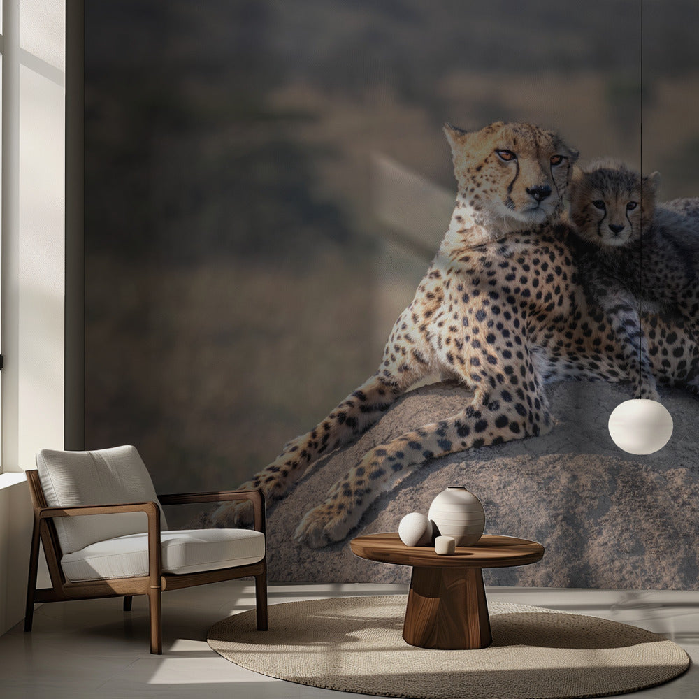Cheetah and cup! | Wallpaper