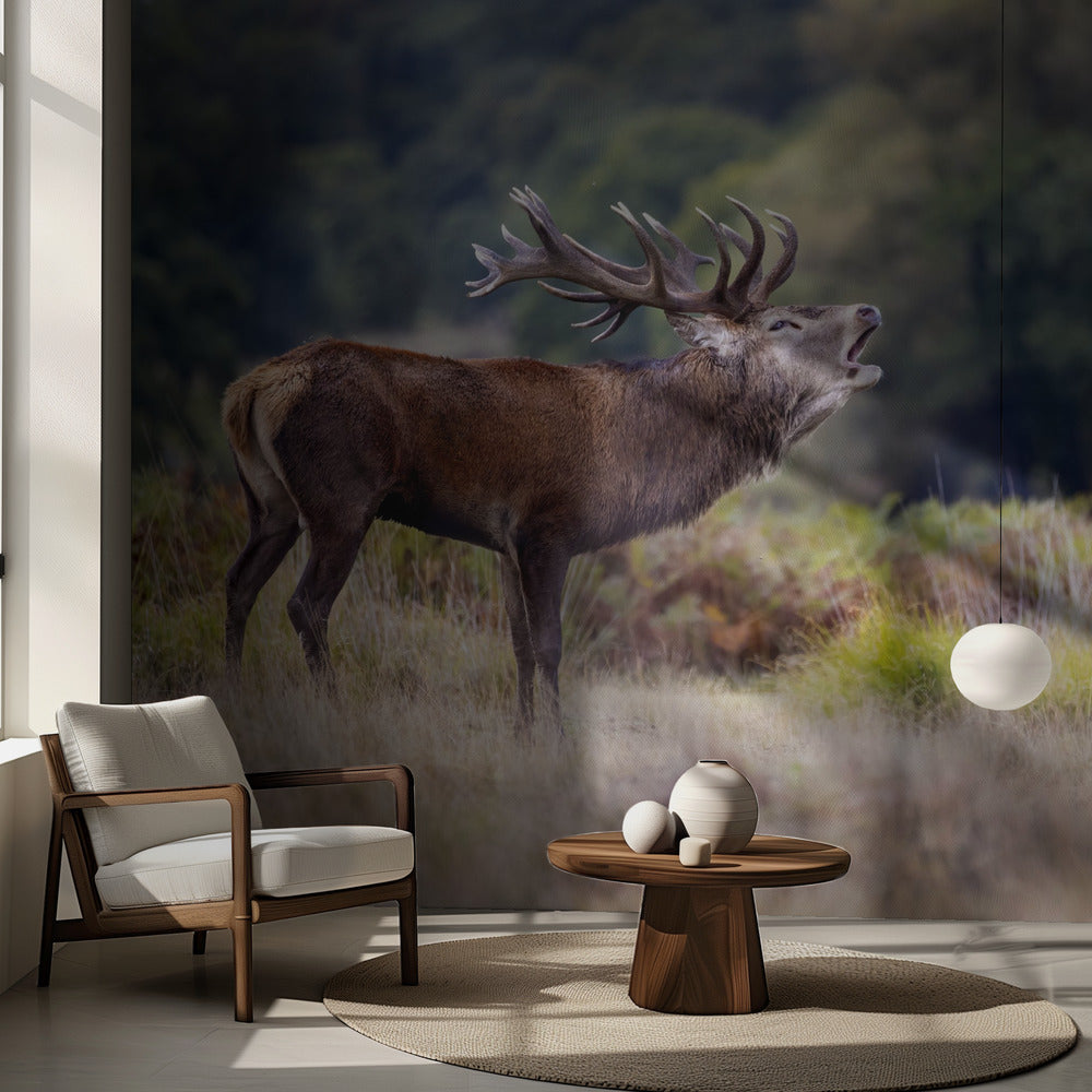 The scream of the deer | Wallpaper
