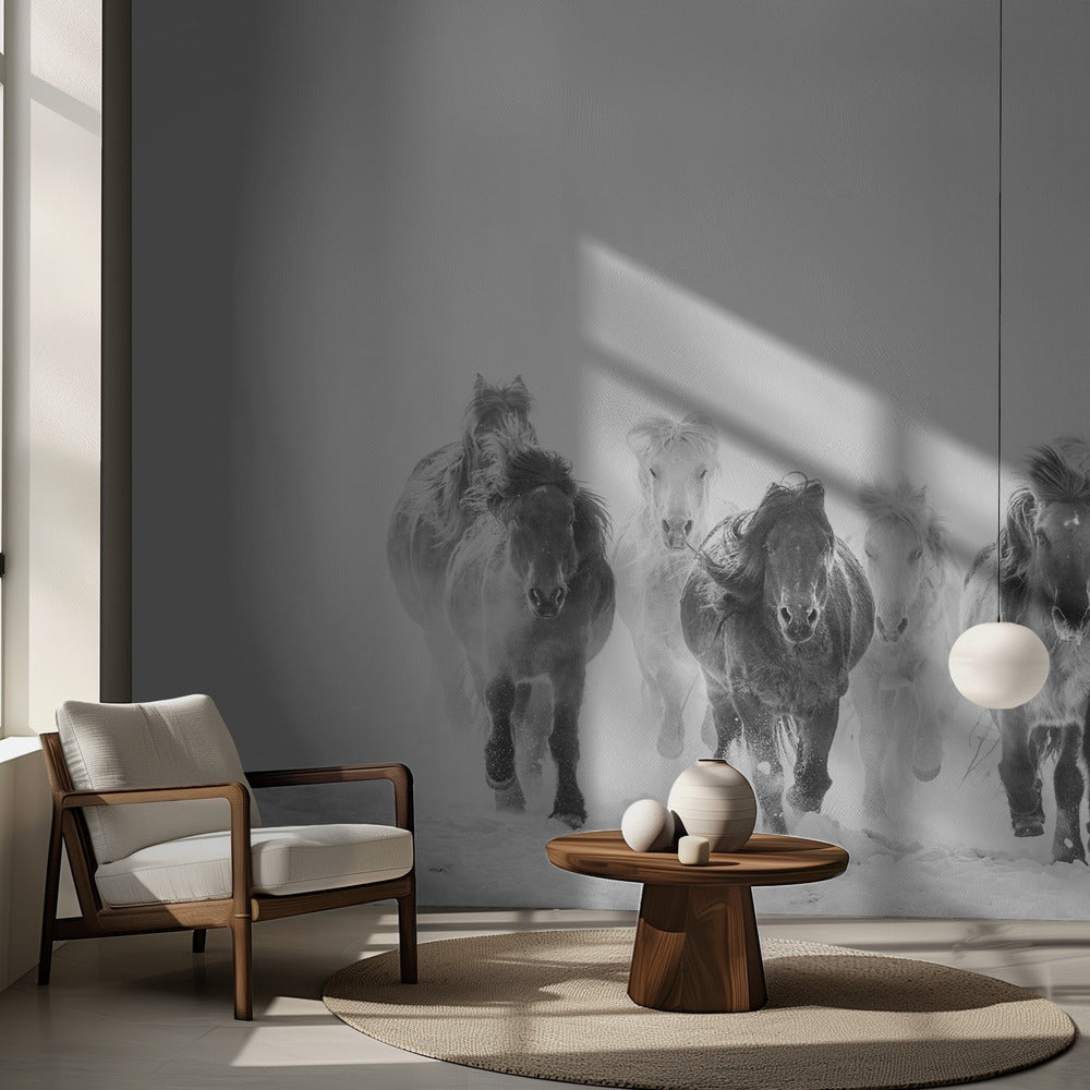 Bieganie po śniegu | Fototapeta