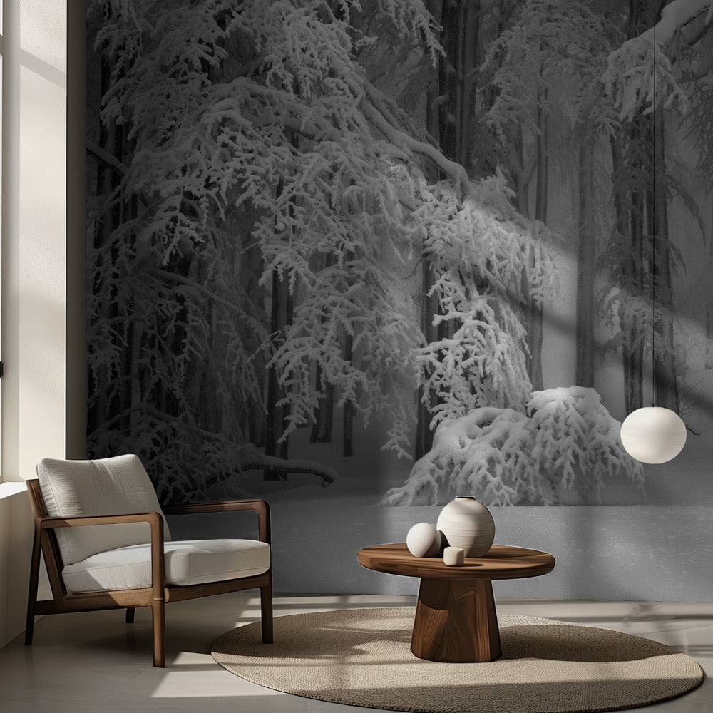 Täydellinen talvi | Valokuvatapetit