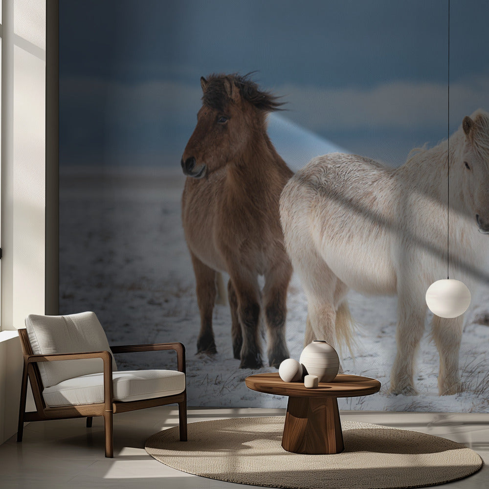 VELI S | Valokuvatapetit