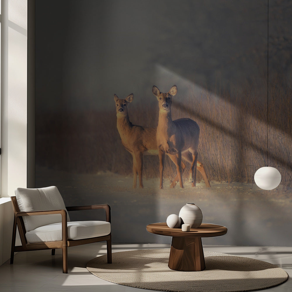 Three Deer | Wallpaper