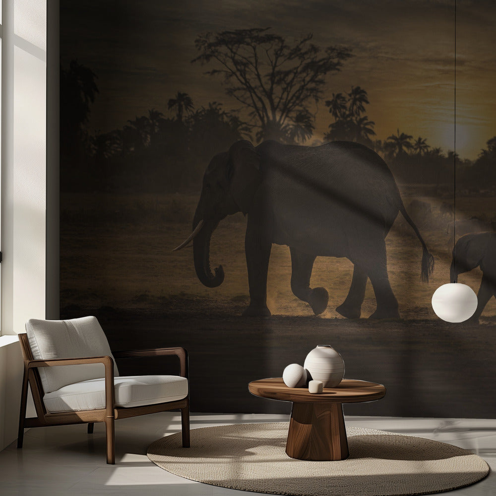 Seuraa minua | Valokuvatapetit