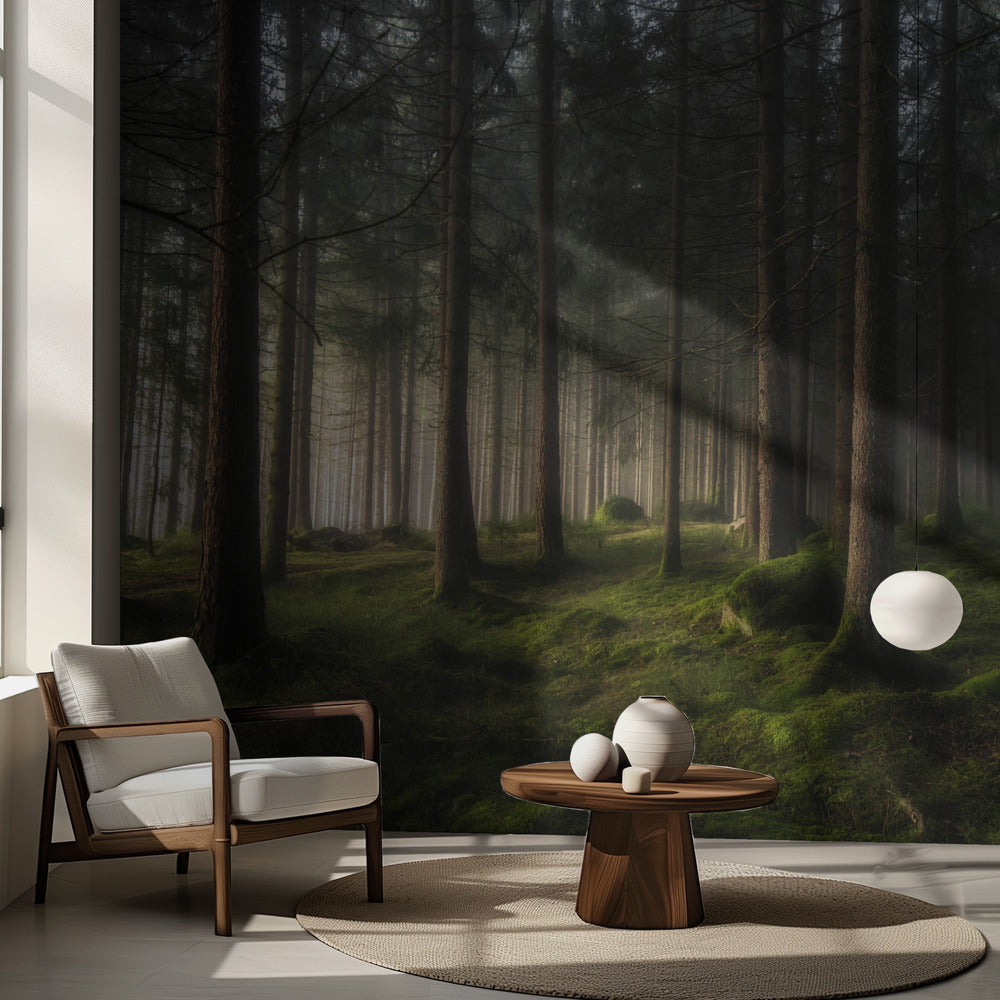 Kevään tunne | Valokuvatapetit