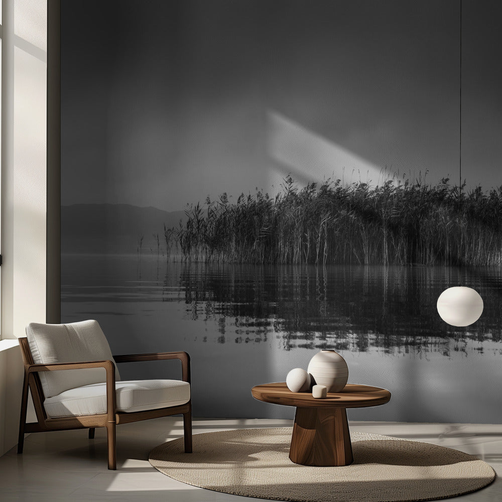 Volvi-järvi VII | Valokuvatapetit