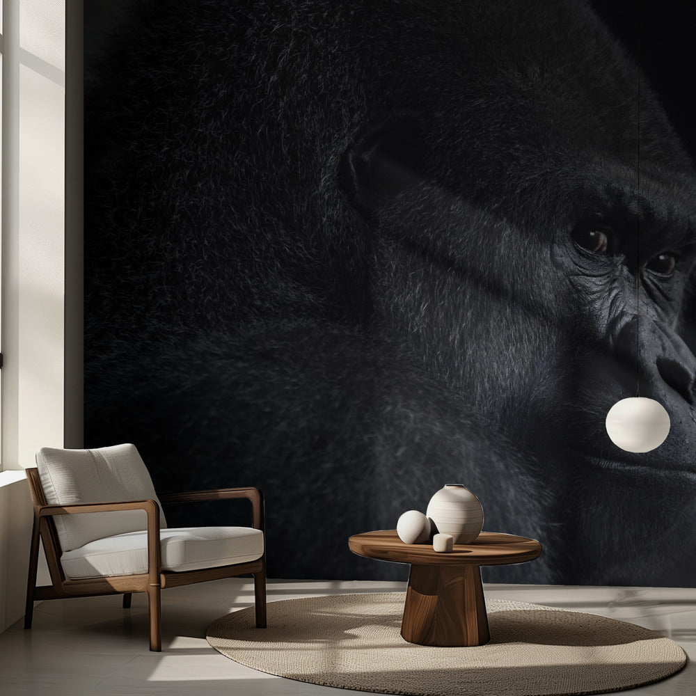 gorillan katse | Valokuvatapetit