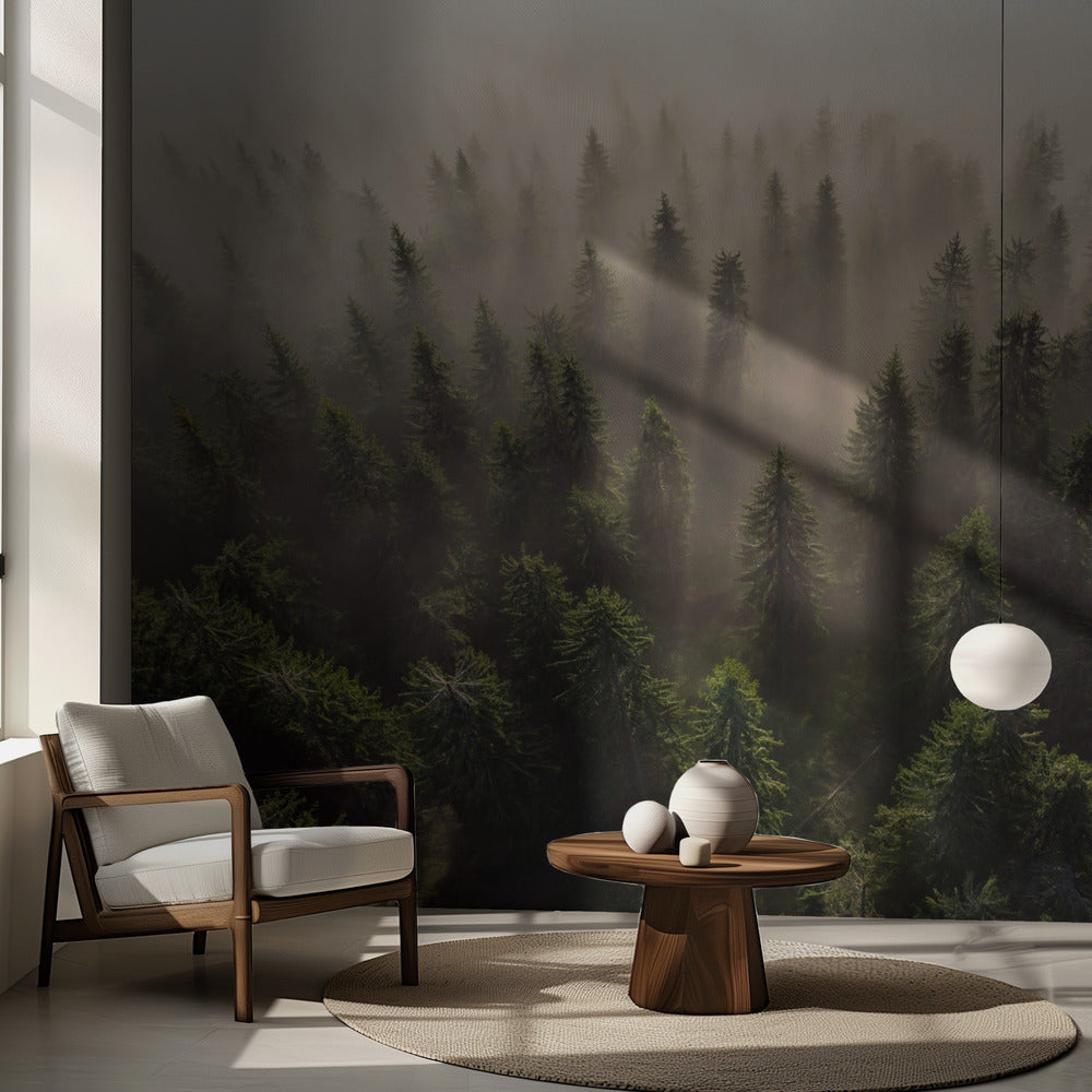 Kuusien armeija | Valokuvatapetit