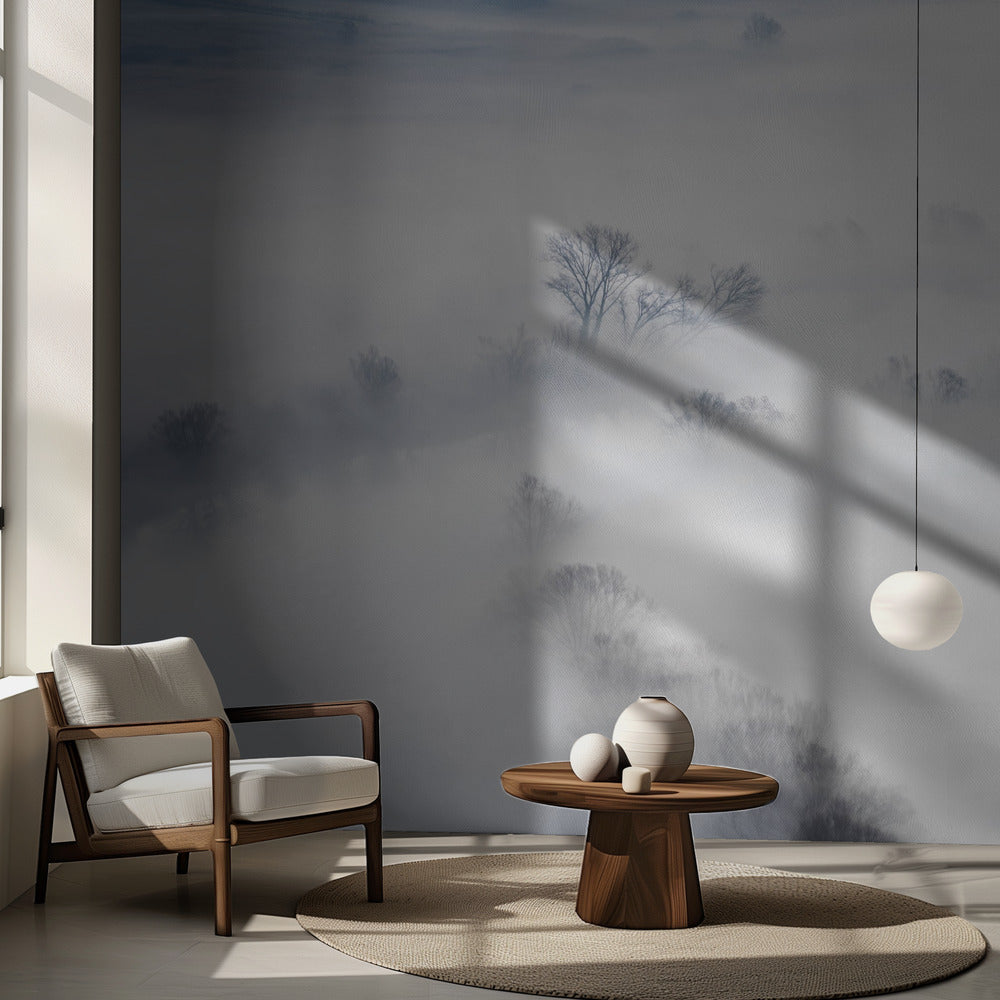 Talvi | Valokuvatapetit