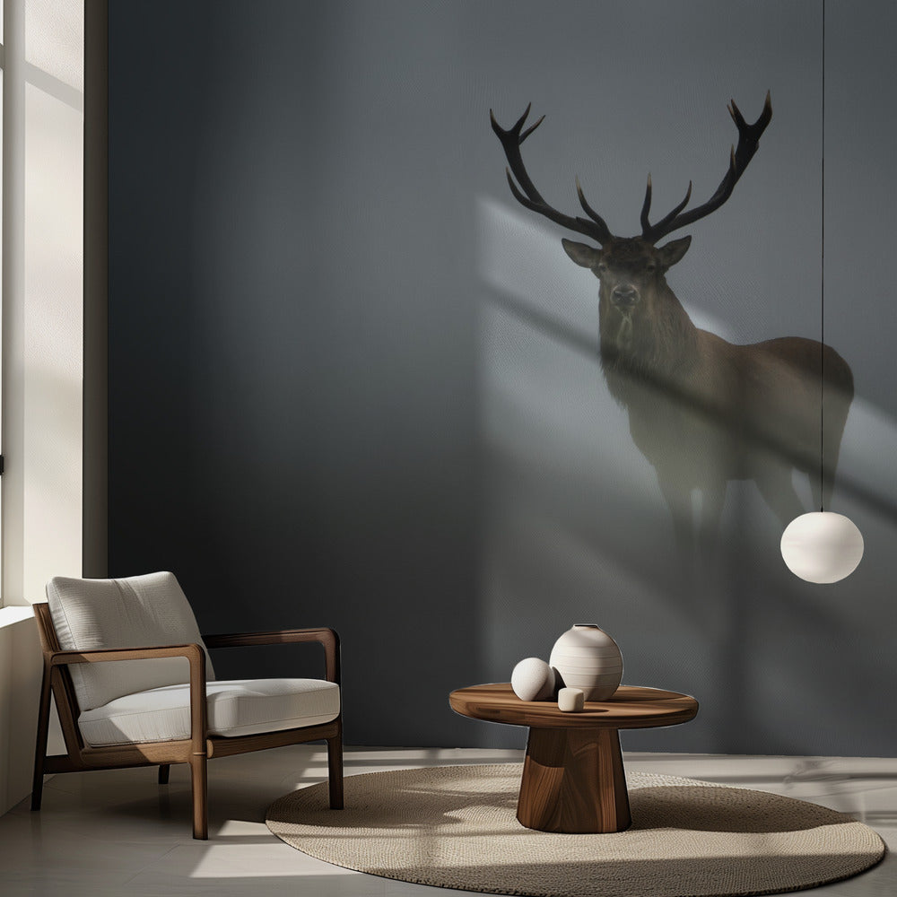 Lyhytkestoisuus | Valokuvatapetit