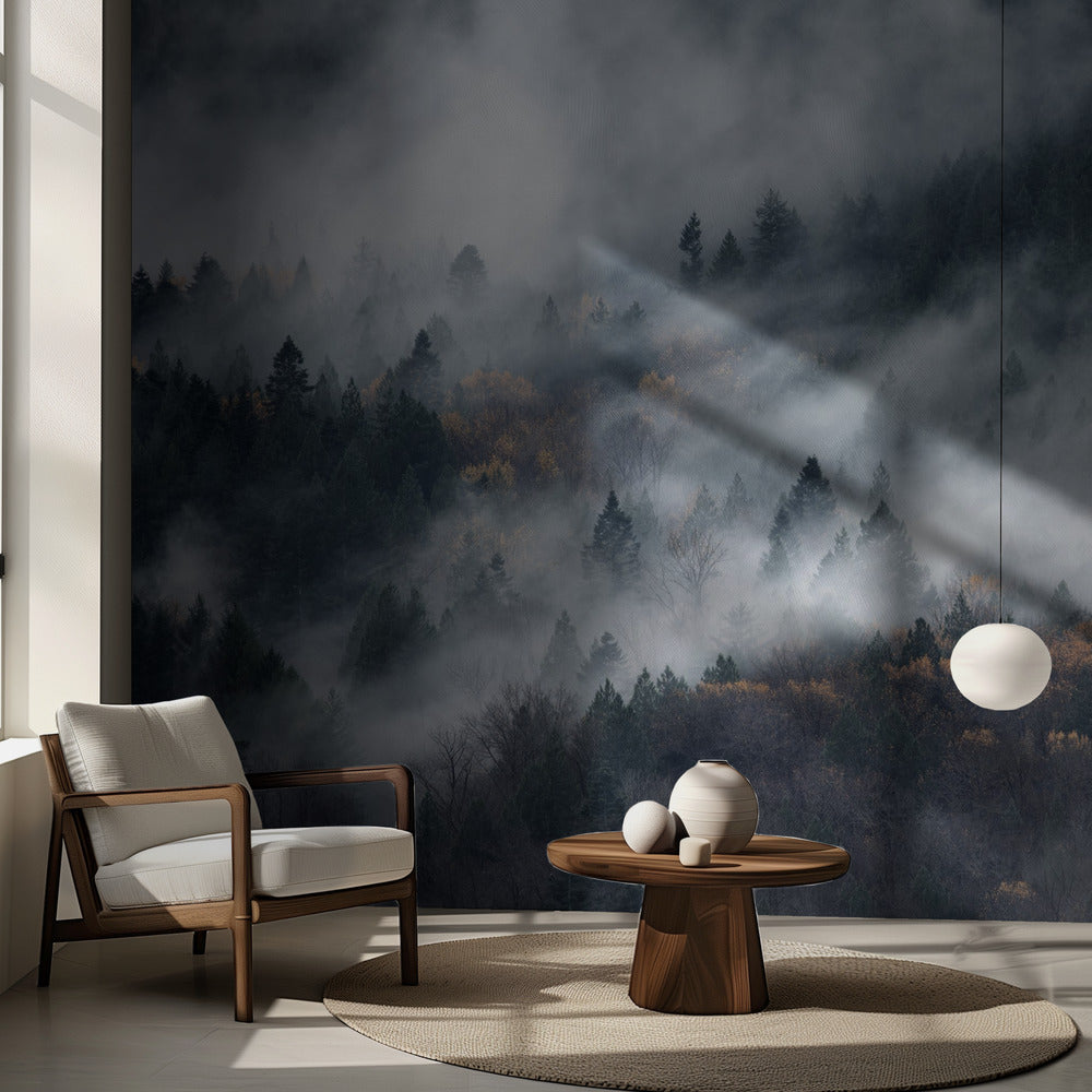 Sumun polku | Valokuvatapetit