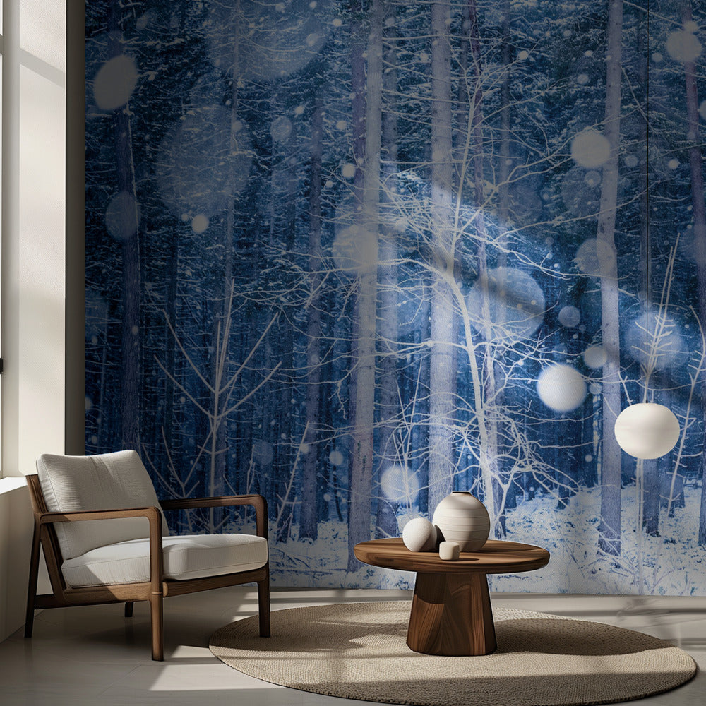 Schneelandschaft | Fototapeten