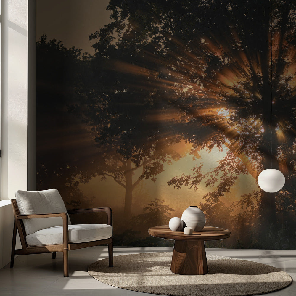 Brennender Baum | Fototapeten