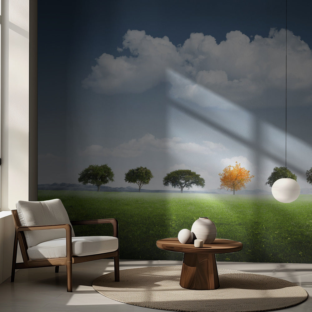 Seitsemän Puuta | Valokuvatapetit