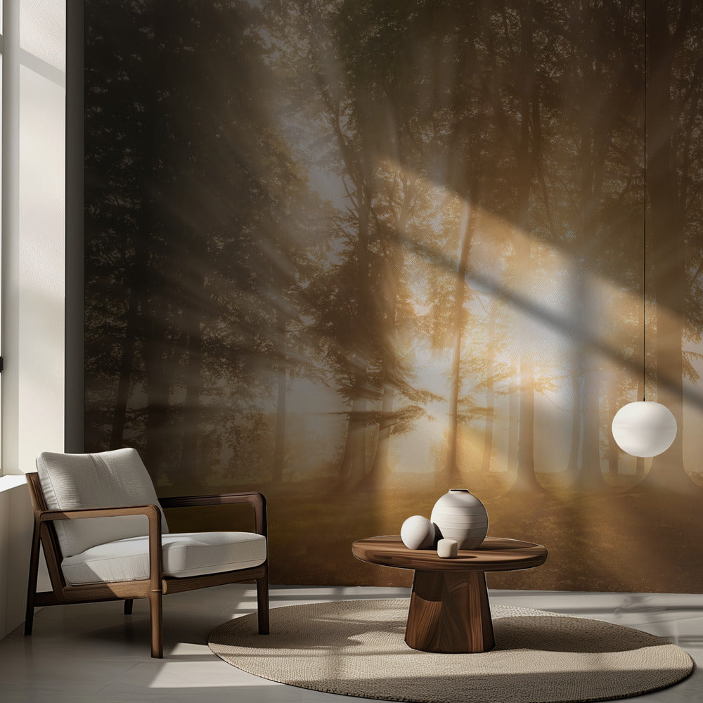 Valon sokaisema | Valokuvatapetit