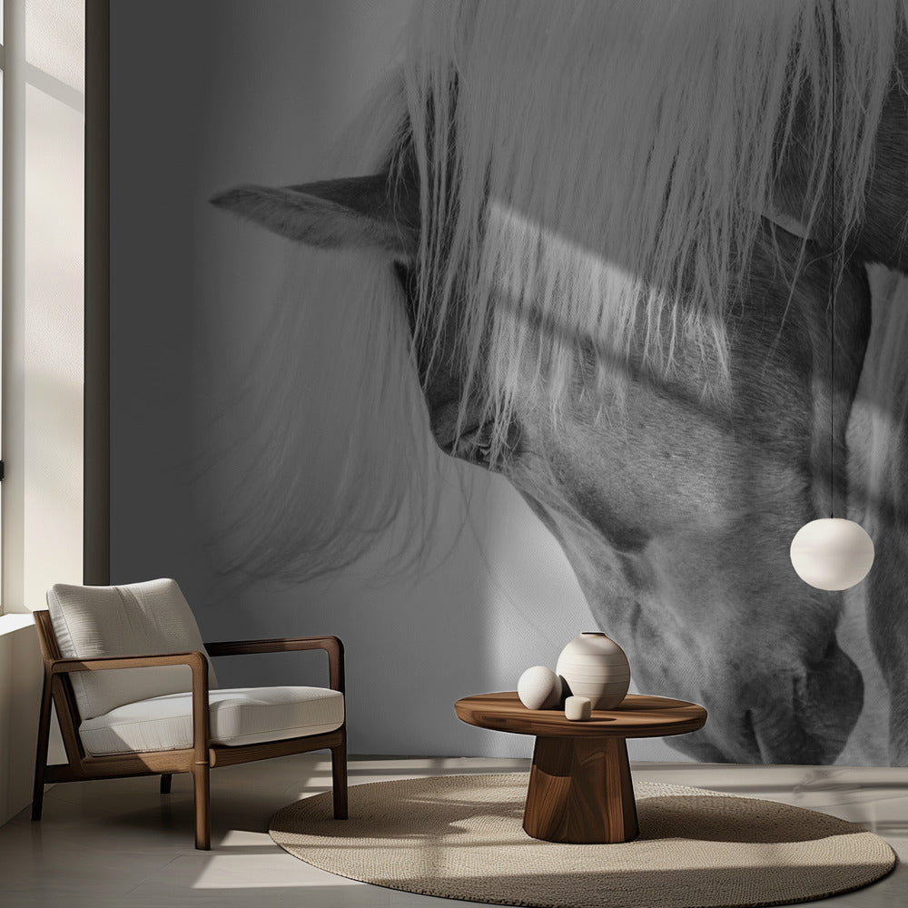 Puolivuoti-muotokuva | Valokuvatapetit