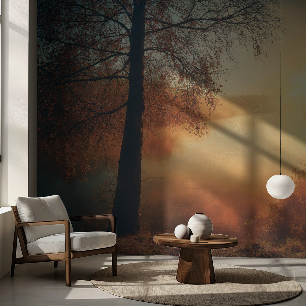 L'oro dell'autunno | Carta da Parati Fotografica