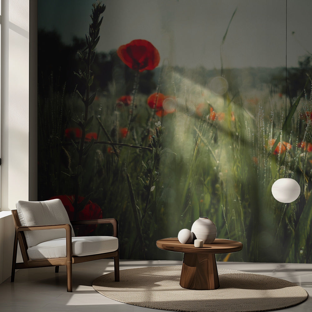 Kentän henki | Valokuvatapetit