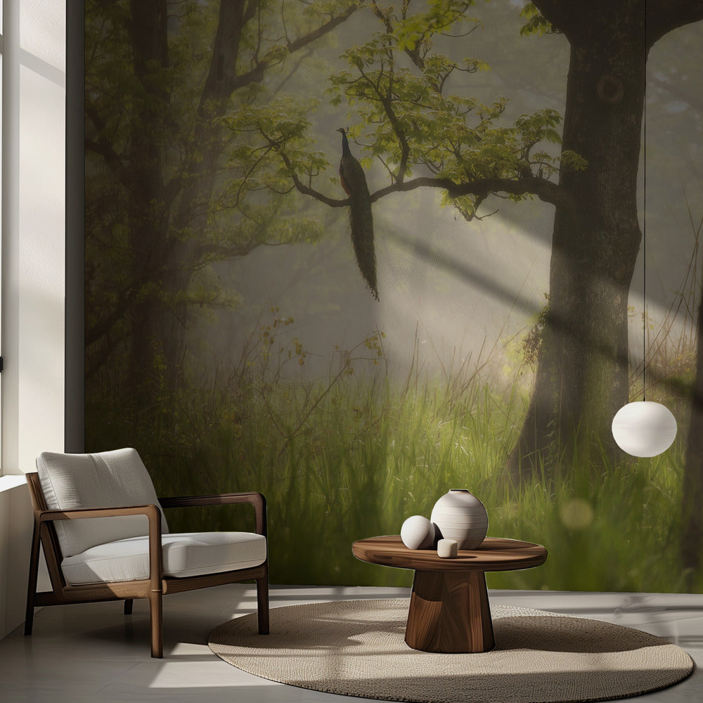 Pavone | Carta da Parati Fotografica