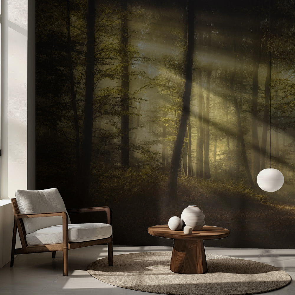 Mattina autunnale | Carta da Parati Fotografica