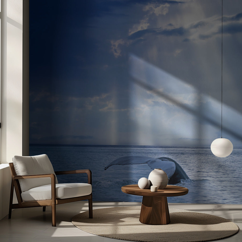 Valas ja auringonsäteet | Valokuvatapetit