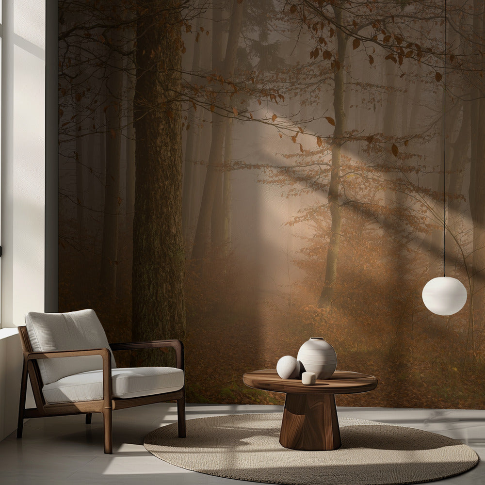 È passato un anno | Carta da Parati Fotografica